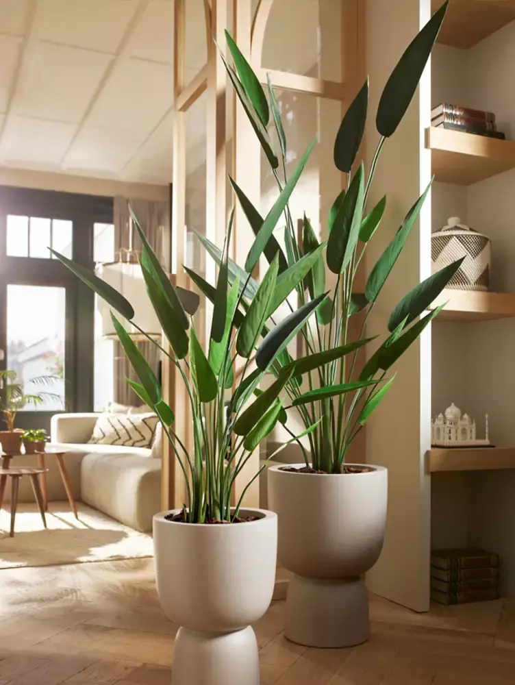 Marta_Plantas_Artificiais-Uberlandia_MG-099