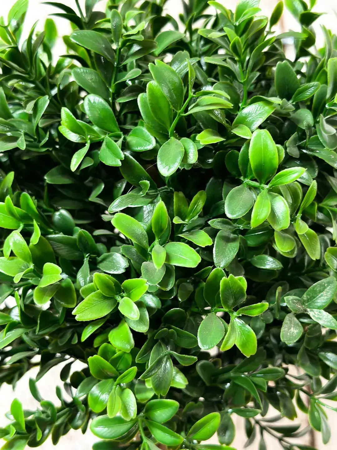 Marta_Plantas_Artificiais-Uberlandia_MG-189