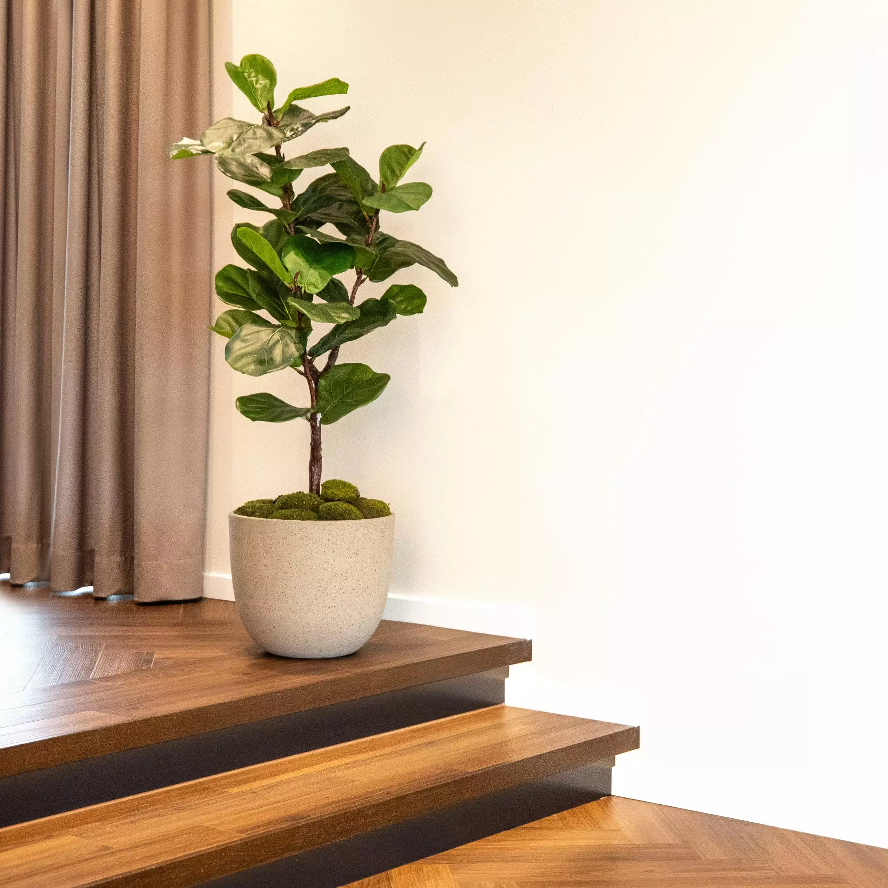 Marta_Plantas_Artificiais-Uberlandia_MG-293