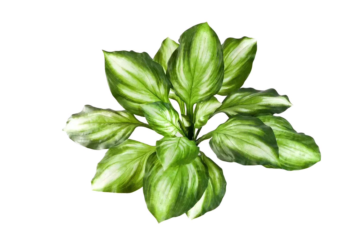 Marta_Plantas_Artificiais-Uberlandia_MG-402